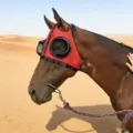 Breathable mesh anti-fly horse fly mask with eye protection for equestrian riding outdoor use. - Upgraded / Red