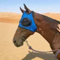 Breathable mesh horse fly mask with eye protection, blue equestrian gear variant for horses. - Upgraded / Blue