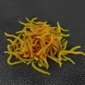 Close-up detail of glowing soft fishing lures, realistic artificial earthworm baits for angling. - Green Brown