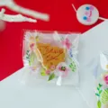 Frühlingsfrische Blumen transparente selbstklebende Geschenktüte Detailansicht Vitrine - 100 Stück/Packung (7*7+3 cm)