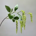 Artificial trailing green berry branch plant for home decor floral arrangement variant - Green