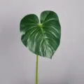 Artificial Philodendron Monstera Leaf Greenery Fake Plant Stem For Home Room Decor - S / Green with Deep Pattern