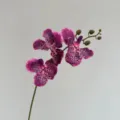 Fausse branche d'orchidée pourpre tachetée pour décoration maison mariage arrangement - Rouge Foncé