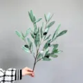 Rama de olivo artificial con frutos negros, hojas verdes realistas para decoración del hogar. - Rama Pequeña Hoja de Olivo de 5 Horquillas
