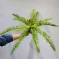 Artificial Fern Branch Fake Plant Greenery Foliage For Home Decor Landscape 33cm - Dicranopteris Branch Green