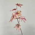 Artificial plant branch dragon scale leaf red indoor floral home decor variant style - Single Branch 7-Leaf Begonia Leaf / Red and Green