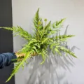 Artificial fern plant fake green foliage bush for home decor indoor landscape styling - Centipede Grass Bundle Green
