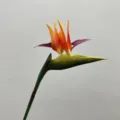Artificial bird of paradise flower single stem fake plant for home decor floral arrangement. - Orange