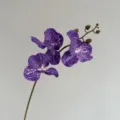 Branche d'orchidée Vanda artificielle violette tachetée pour déco maison et arrangements floraux. - Violet foncé