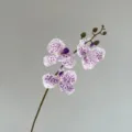 Tige d'orchidée Phalaenopsis artificielle fleur en soie tachetée violette décoration - Lilas