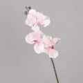 Fausse Orchidée Phalaenopsis Tige Unique Fleur Artificielle Réaliste Déco Maison - Rose Jade