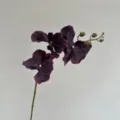 Tige d'orchidée artificielle violette foncée, fausse phalaenopsis pour décoration intérieure. - Violet Noir