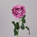 Fiore di rosa viola artificiale stelo singolo con foglie verdi decorazione floreale nozze. - Grigio Viola