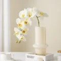 Τεχνητή λευκή ορχιδέα phalaenopsis σε μπεζ γυάλινο βάζο διακόσμηση σπιτιού λουλούδι - Λευκό