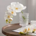 Τεχνητή ορχιδέα phalaenopsis σύνθεση λουλουδιών σε γυάλινο βάζο διακόσμηση τραπεζιού - Λευκό