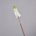 Künstliche Fackellilie Blume einzelner Stiel Kunstpflanze Heimtextilien Dekor Deko. - Weiß und Grün