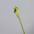 Artificial Calla Lily Flower Single Green PU Stem Fake Plant for Home Wedding Decor - Green