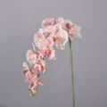 Pink artificial phalaenopsis orchid flower branch variant home decor photography prop fake floral - Champagne Pink