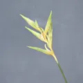 Fausse Fleur Oiseau du Paradis en Caoutchouc Souple Plante Tropicale Tige Décoration Maison - Blanc et Vert