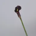 Dark purple artificial PU calla lily flower for home decor and photography props - Purple