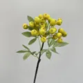 Artificial yellow berry branch fake fruit stem for home decor and photography props SKU item. - Yellow Green Blueberry Fruit