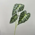 Artificial Alocasia leaf simulation greenery stem decor dark green variant style - Green