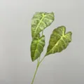 Artificial Alocasia leaf branch fake green plant foliage for home decor floral arrangement. - Light Green