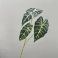 Artificial Alocasia Leaf Greenery Fake Black Peacock Taro Plant Floral Arrangement Decor - Dark Green