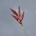 Artificial bird of paradise flower stem soft rubber heliconia home decor plant realistic - Orange Coffee Dark Red
