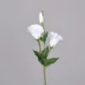 Texnito leuko louloudi lisianthus monostelo pseftiki metaksi gia diakosmisi spitiou gamos. - Καθαρό λευκό