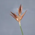 Artificial Bird of Paradise flower branch fake plant brown home decor floral arrangement - Coffee