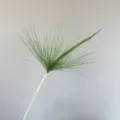 Artificial green plant stem, umbrella papyrus fountain grass for wedding floral decor. - Green