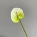 Artificial white anthurium single stem fake flower for wedding home decoration green style - Green White Small Anthurium