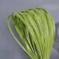 Artificial green steel grass sword leaves for floral arrangement wedding decor plant - 1m 1cm Wide Yellow White Edge