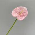 Artificial pink anthurium single stem flower simulation plant home wedding decor. - Peach Pink Small Anthurium