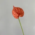 Artificial anthurium single stem fake flower PU red flamingo flower wedding home decor - Dark Orange