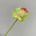 Artificial anthurium single stem fake flower decorative floral arrangement for home and wedding - Red Green Small Anthurium