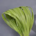 Artificial grass sword leaves green plastic floral arrangement accessories bundle for wedding decor. - 1m 1.5cm Wide Yellow White Edge