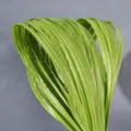 Artificial grass sword leaves green soft plastic floral arrangement for wedding - 1m 1.5cm Wide Yellow