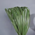 Artificial grass sword leaves green linear floral arrangement wedding decor soft rubber wire. - 1m 1cm Wide White Edge