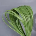 Artificial grass leaves faux green linear plant floral arrangement wedding decor prop - 1m 1cm Wide Green White Edge