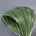 Artificial Green Sword Grass Leaf Simulation Plant Floral Arrangement DIY Craft Decor - 1m 2cm Wide White Edge