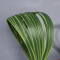 Artificial green sword grass leaves for floral arrangement, soft rubber diy wedding decor - 1m 2cm Wide Yellow Edge