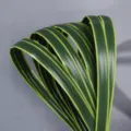 Artificial Green Sword Grass Plant Fake Leaf Floral Arrangement DIY Wedding Decor 72cm - 1m 3cm Wide Yellow Edge