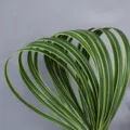 Artificial ribbon grass green sword leaves for floral arrangement wedding decor and craft styling. - 1m 1.5cm Yellow Edge