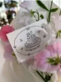 Dettaglio biglietto augurio torta bianco e nero disegnato a mano con fiori di pisello odoroso - 30 Pezzi/Confezione (9*5.5cm Torta Congratulazioni)