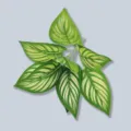 Hojas de plantas artificiales verdes rayadas follaje falso para decoracion del hogar - Hoja de Fénix de 9 cabezas - Verde (Fino)