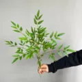 Fausse branche de plante nandina feuillage vert artificiel pour decoration d interieur et bouquets. - Petite Branche Simple / Vert