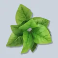 Τεχνητά πράσινα φύλλα φυτών, ριγέ monstera alocasia για εσωτερική διακόσμηση σπιτιού - Αλοκάσια 9 κεφαλών