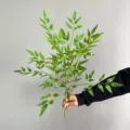 Fausse branche de nandina verte plante artificielle pour décoration d'intérieur florale - Grande Branche Simple / Vert